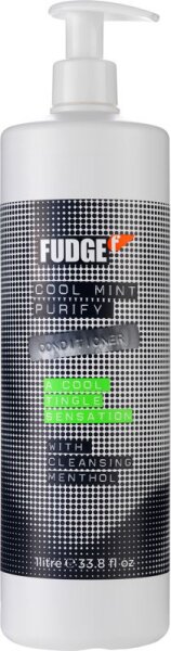 Fudge Cool Mint Purify Conditioner 1000 ml Fudge Cool Mint Purify Conditioner 1000 ml von Fudge