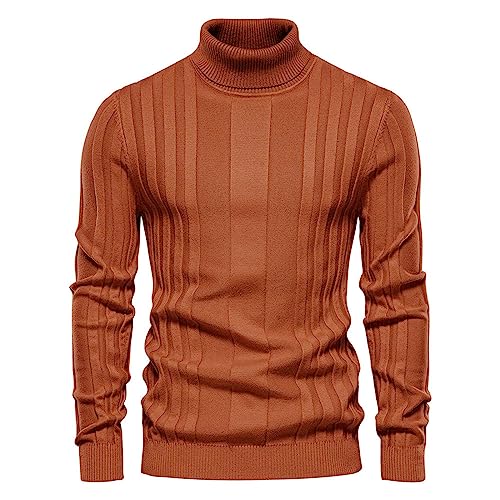 Fulidngzg Rollkragenpulli Herren Rollkragen Basic Rollkragenshirt Pullover Baumwolle Schwarz Strickpullover Rollkragenpullover Strick Business Longsleeve Winterpullover Rollkragenpulli Herrenpullover von Fulidngzg