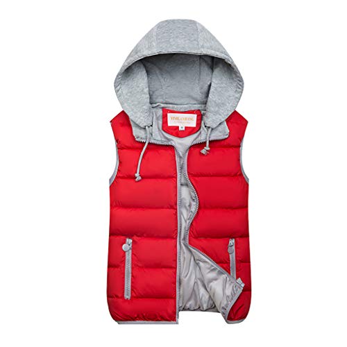 Fulidngzg Steppweste Damen, Übergang Weste Fleeceweste Schwarze Große Größen Damenweste Outdoor Warm Übergangsjacke Leichte Elegant mit Kapuze Steppweste Softshell Reißverschluss Kurz Wanderjacke von Fulidngzg