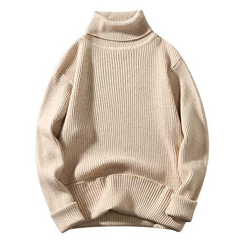 Rollkragenpullover Herren Schwarz Slim Fit Rollkragen Rollkragenshirt Winterpullover Baumwolle Business Pullover Solid Longsleeve Strickpullover Rollkragenpulli Pulli von Fulidngzg