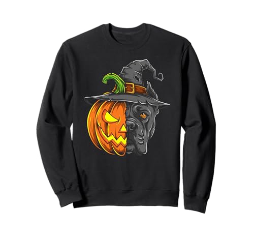 Cane Corso Kürbis Jack O Laterne Halloween Kinder Herren Damen Sweatshirt von Funny Cane Corso Lovers Halloween Pumpkin Outfits