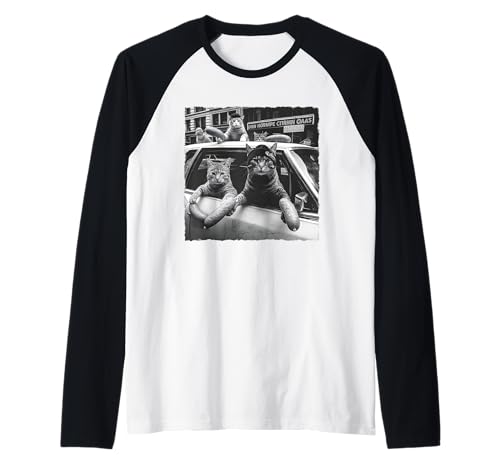 Lustige Katzengang Meme Cool Vintage Humor sarkastische Männer Frauen Raglan von Funny Cat Gang Meme Sarcastic Men Women Tee Co.