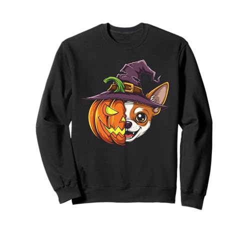 Chihuahua Kürbis Jack O Laterne Halloween Kinder Herren Damen Sweatshirt von Funny Chihuahua Lovers Halloween Pumpkin Outfits