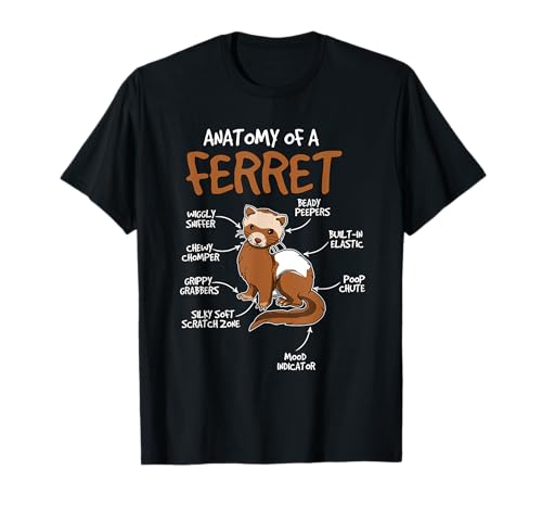 Frettchen-Geschenk für Kinder mit der Anatomie eines Frettchens T-Shirt Frettchen-Geschenk für Kinder mit der Anatomie eines Frettchens T-Shirt von Funny Ferret Merch Women Men Kids