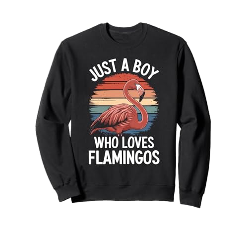 Just A Boy Who Loves Flamingos Bird Fan Jungen Kinder Flamingo Sweatshirt Just A Boy Who Loves Flamingos Bird Fan Jungen Kinder Flamingo Sweatshirt von Funny Flamingo Lover Clothing