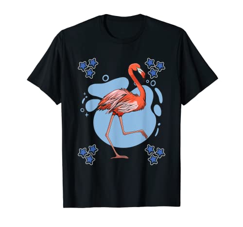 Herren Jungen Flamingos Sachen Stern Design Vogel Flamingo T-Shirt Herren Jungen Flamingos Sachen Stern Design Vogel Flamingo T-Shirt von Funny Flamingo Merch Women Men Kids
