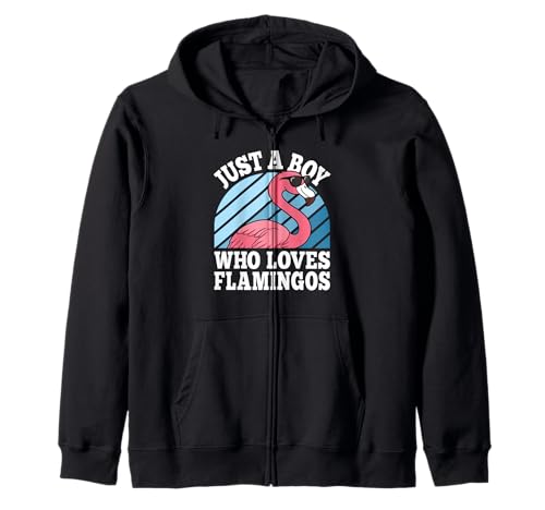 Nur EIN Junge, der Flamingos liebt Lustige Flamingo-Liebhaber für Jungen Kapuzenjacke Nur EIN Junge, der Flamingos liebt Lustige Flamingo-Liebhaber für Jungen Kapuzenjacke von Funny Flamingo Outfit Men Women Boys Girls Kids
