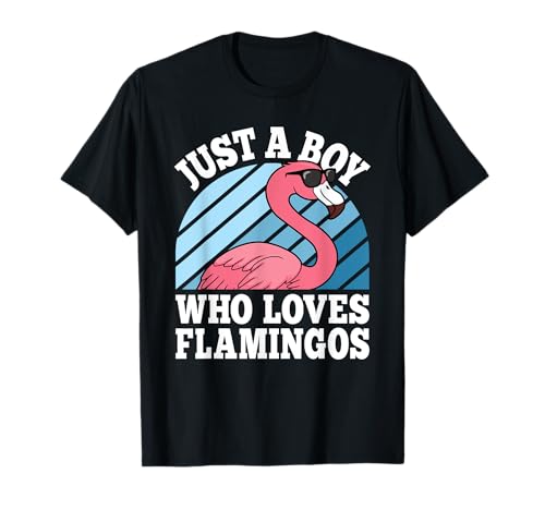 Nur ein Junge, der Flamingos liebt Lustige Flamingo-Liebhaber für Jungen T-Shirt Nur ein Junge, der Flamingos liebt Lustige Flamingo-Liebhaber für Jungen T-Shirt von Funny Flamingo Outfit Men Women Boys Girls Kids