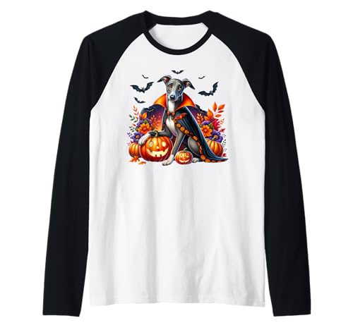 Halloween Dog Women Pumpkins Italian Greyhound Dog Vampire Raglan Halloween Dog Women Pumpkins Italian Greyhound Dog Vampire Raglan von Funny Greyhound Themed Gifts For Halloween Lovers
