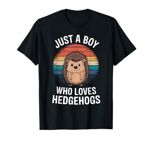 Just a Boy Who Loves Igel Vintage Sunset Igel-Liebhaber T-Shirt von Funny Hedgehog Lover Apparel for Men Women