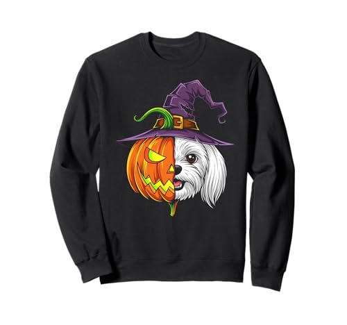 Malteser Kürbis Jack O Laterne Halloween Kinder Herren Damen Sweatshirt von Funny Maltese Dog Lovers Halloween Pumpkin Outfits