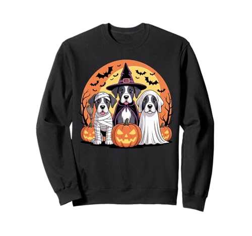 Gruselige Dogge Hund Mama Hexe Geist Halloween Haustierbesitzer Sweatshirt Gruselige Dogge Hund Mama Hexe Geist Halloween Haustierbesitzer Sweatshirt von Funny Spooky Great Dane Dog Halloween Costume