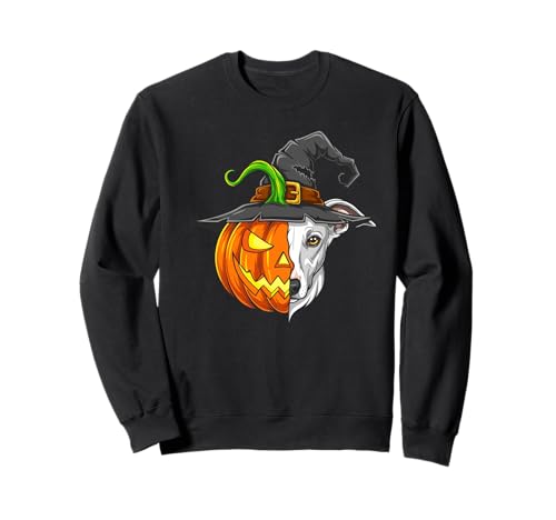 Whippet Kürbis Jack O Laterne Halloween Kinder Herren Damen Sweatshirt Whippet Kürbis Jack O Laterne Halloween Kinder Herren Damen Sweatshirt von Funny Whippet Dog Lovers Halloween Pumpkin Outfits