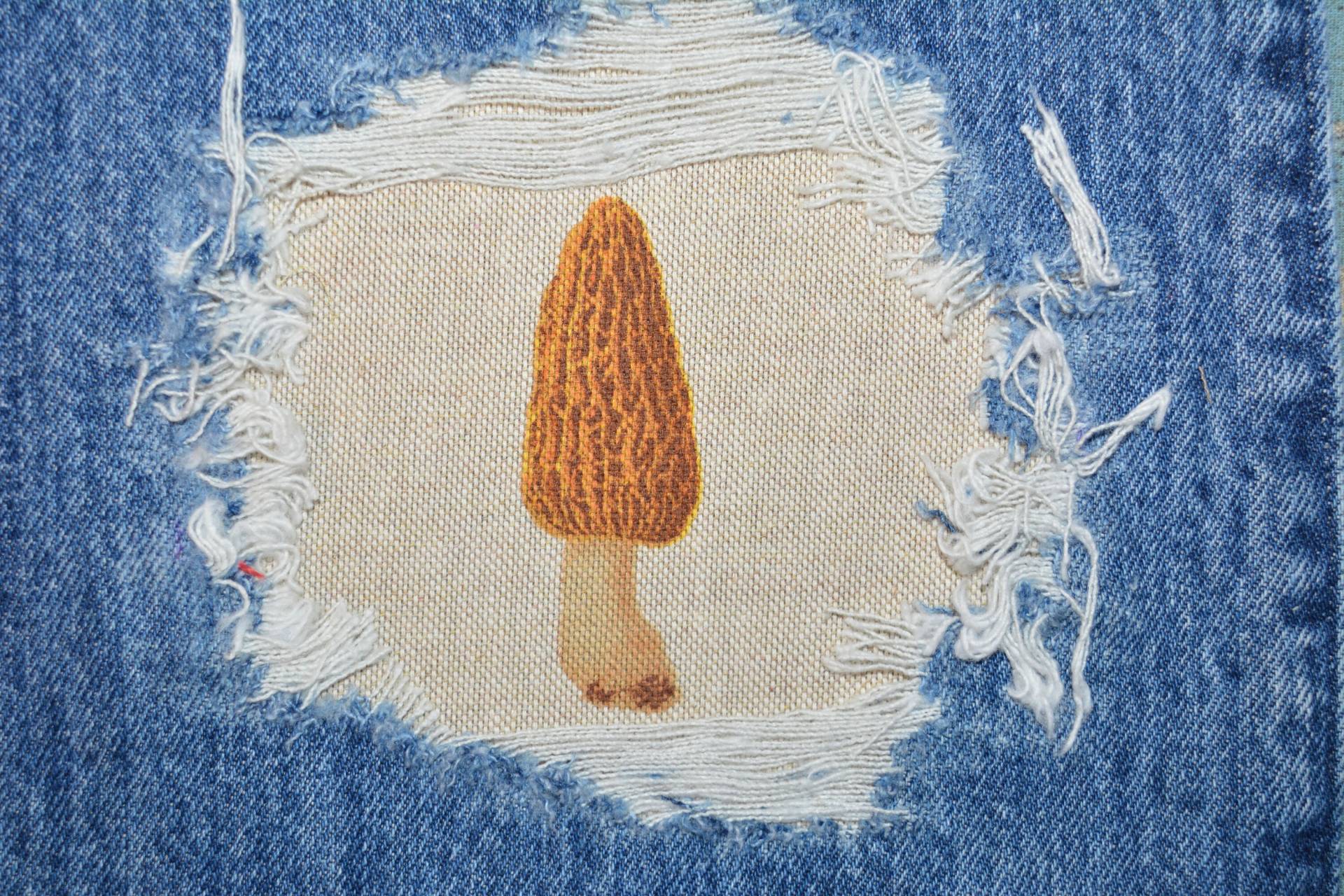 Pilz Flicken Cottagecore Peek A Boo Patches Für Kleidung Reparaturen Größe 15x15cm von FunnyPatches