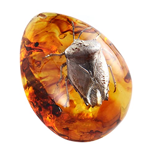 Bernstein Fossil mit Insekten Proben Steine Kristall Exemplare Insekten Exemplar Bernstein Anhänger DIY Schmuck Anhänger Bernstein Fossil mit Insekten Proben Steine Kristall Exemplare Insekten Exemplar Bernstein Anhänger DIY Schmuck Anhänger von Funrelaxer