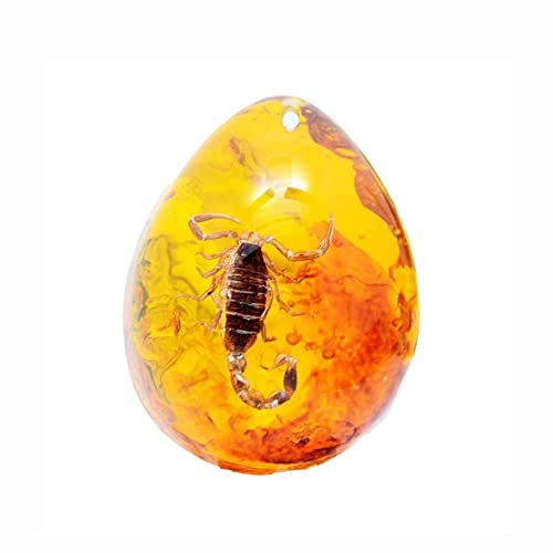 Samples Stones Crystal Specimens Insect Specimen Amber Pendant DIY Jewelry Pendant (Bernstein Skorpion) von Funrelaxer
