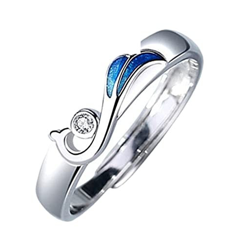 Fycakly Damen Mehrreihig Ring Ein Paar Silber Männer Frauen Leichter Luxus Senior Sense Design Liebespaar Ring von Fycakly