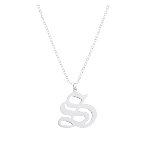 Schmuck 26 englische Buchstaben Anhänger Halskette für Frauen Silber Edelstahl Halsketten AZ 26 Alphabet Initial Halsketten für Teenager Mädchen Schmuck Schmuck 26 englische Buchstaben Anhänger Halskette für Frauen Silber Edelstahl Halsketten AZ 26 Alphabet Initial Halsketten für Teenager Mädchen Schmuck von Fycakly