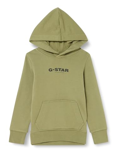 G-STAR RAW Jungen SS23203 hdd sweater Sweater, Grün (sage D24988-01-724), 10 Jahre von G-STAR RAW