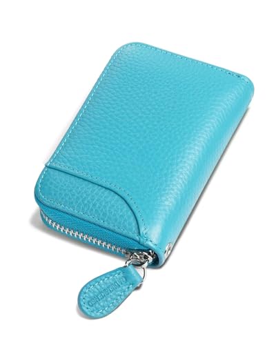 GADIEMKENSD Kreditkartenetui Kartenetui Damen RFID Schutz Mini Leder Portemonnaie Karten Etui Herren Kreditkartenhülle Slim Travel Wallet 14 Fächer Kartenetui Reißverschlussetui Geldbörse Himmelblau von GADIEMKENSD