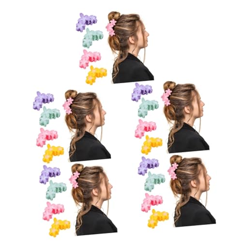 GALPADA 20stücke Blumen-haarspangen Sanften Farbverläufen Leichte Haarklammern Für Frauen Zum Stylen Von Hochsteckfrisuren Für Alltag von GALPADA