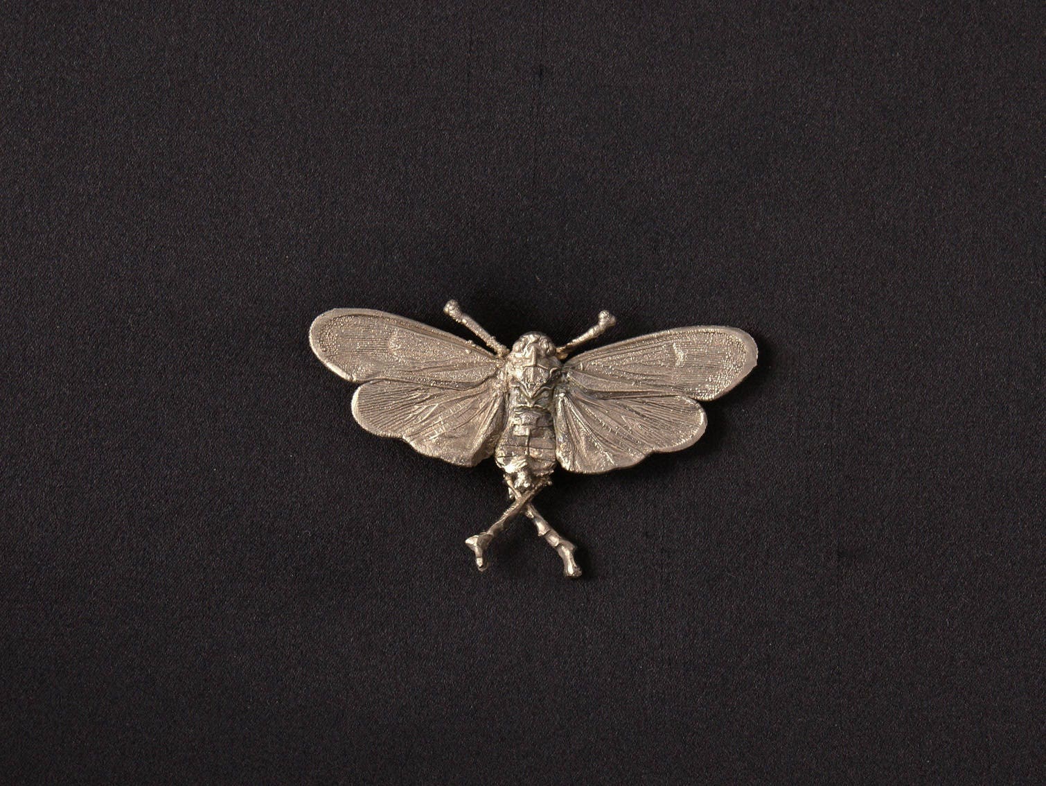 Echter Falter Versilbert, Brosche; Real Moth Silver Plated, Brooch Echter Falter Versilbert, Brosche; Real Moth Silver Plated, Brooch von GALVANITY