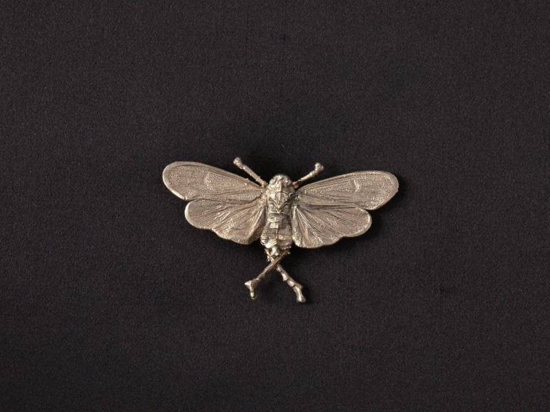 Echter Falter Versilbert, Brosche; Real Moth Silver Plated, Brooch Echter Falter Versilbert, Brosche; Real Moth Silver Plated, Brooch von GALVANITY