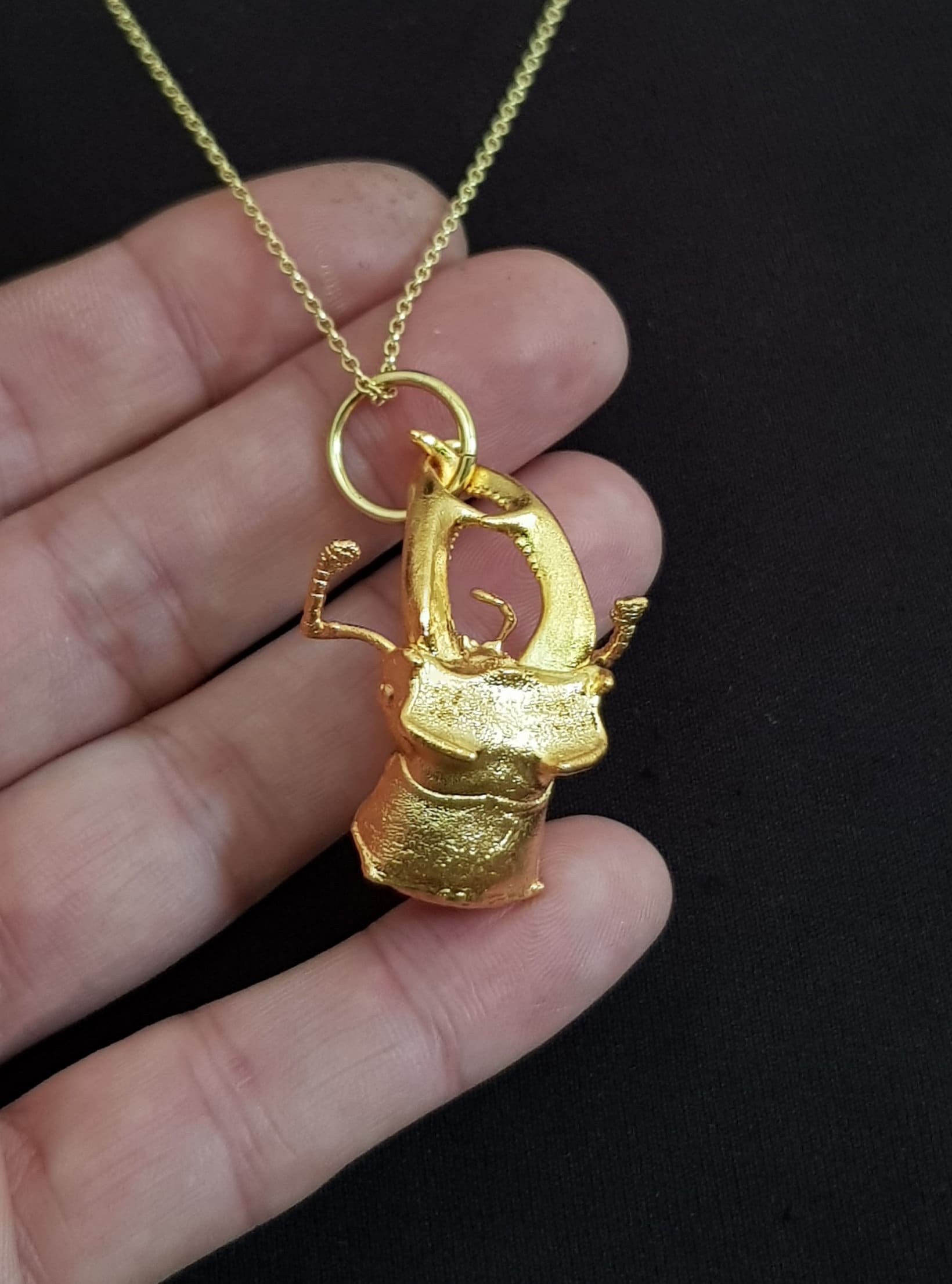 Echter Vergoldeter Hirschkäferkopf Mit Turmalin, Genuine Stagbeetle's Head Gold Plated Echter Vergoldeter Hirschkäferkopf Mit Turmalin, Genuine Stagbeetle's Head Gold Plated von GALVANITY