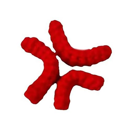 Wut Haarnins Alligatoren Haarklammern Entenbill Haarnadeln Für Frauen Und Mädchen Haarzubehör Lustige Haare Barrettes Geschenke von GAOINTELL