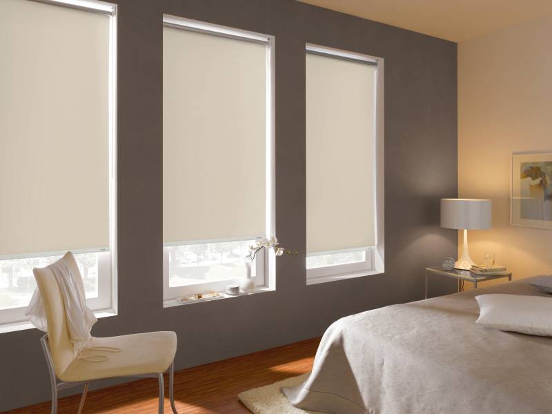 GARDINIA Rollo "Seitenzugrollo Thermo energiesparend" abdunkelnd mit Bohren Schrauben, Thermo Rückseite von GARDINIA