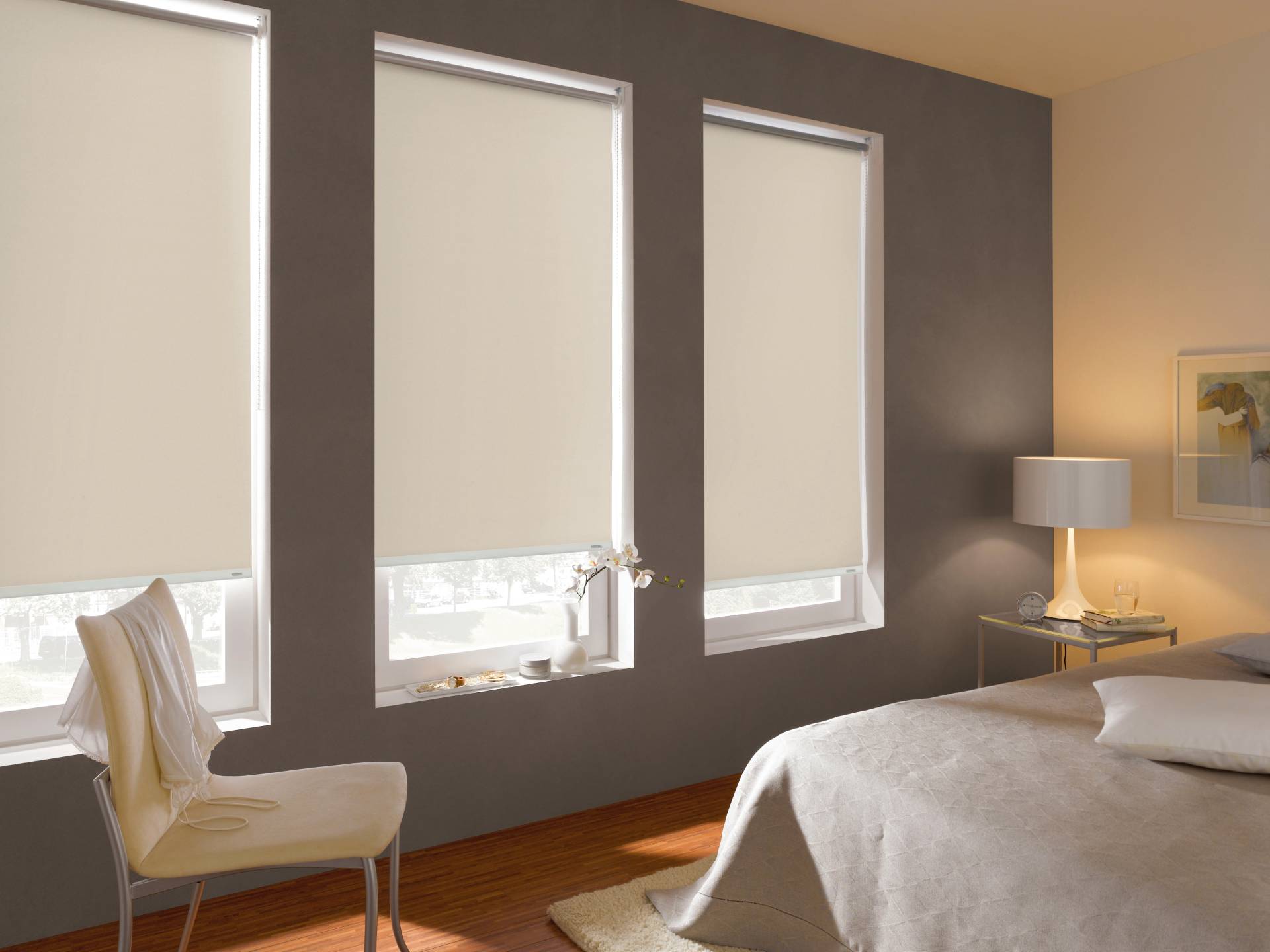 GARDINIA Rollo "Seitenzugrollo Thermo energiesparend" abdunkelnd mit Bohren Schrauben, Thermo Rückseite von GARDINIA