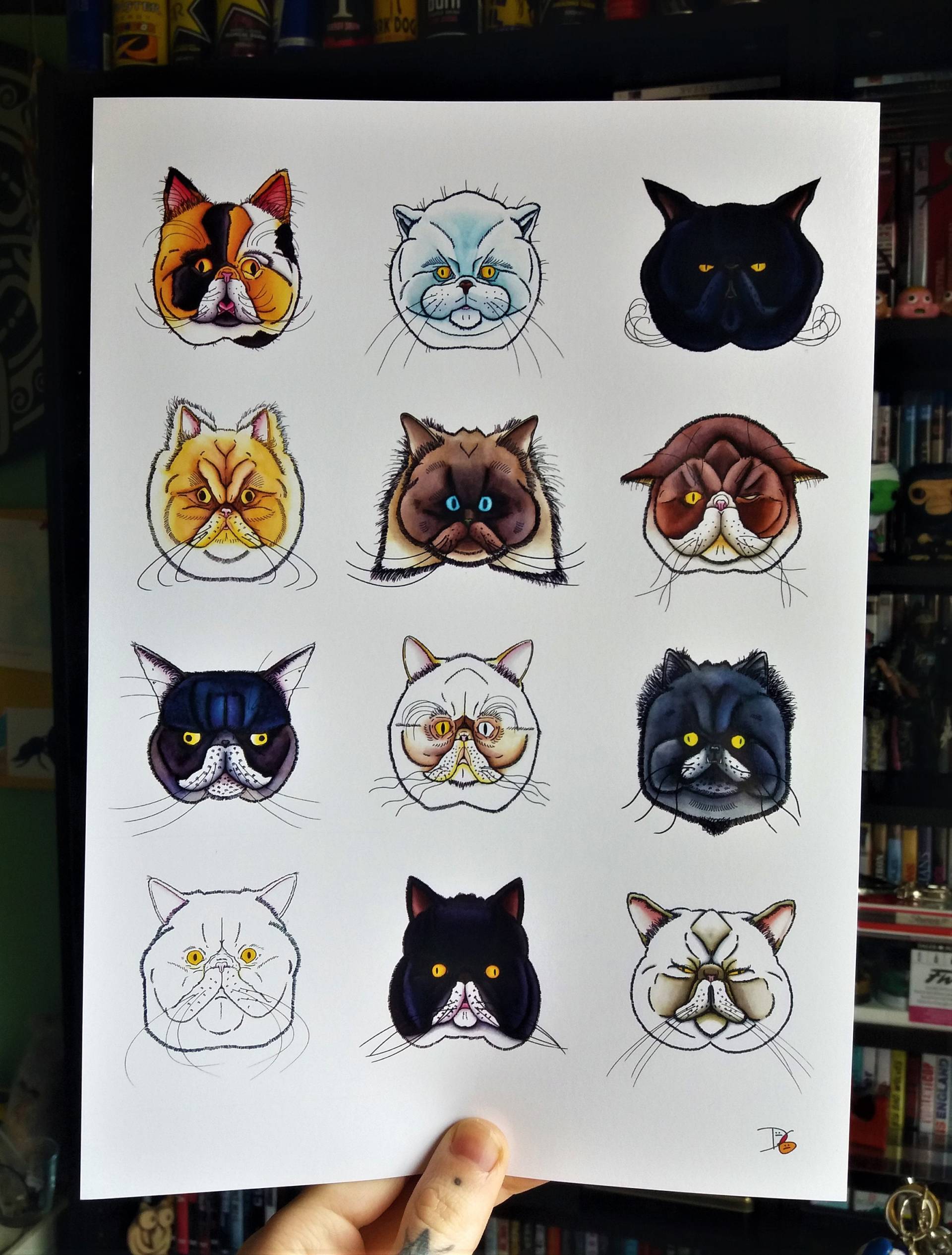 Katzengesichter-Druck Katzengesichter-Druck von GASLANDPARK