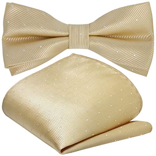 GASSANI 2Tlg Fliegenset, Festliche Beigene Herren-Fliege Silber Gepunktet, Hochzeitsfliege Anzug-Schleife Vor-Gebunden Ein-Stecktuch Pünktchen von GASSANI
