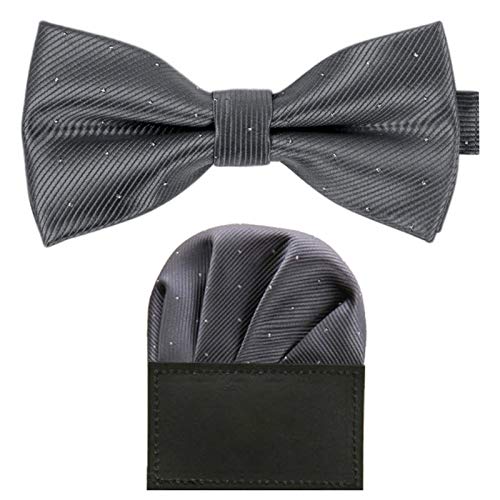 GASSANI 2Tlg Fliegenset, Festliche Dunkel-Graue Herren-Fliege Silber Gepunktet, Hochzeitsfliege Anzug-Schleife Vor-Gebunden Ein-Stecktuch Vorgefaltet von GASSANI