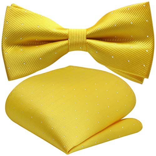 GASSANI 2Tlg Fliegenset, Festliche Gelbe Herren-Fliege Silber Gepunktet, Hochzeitsfliege Anzug-Schleife Vor-Gebunden Ein-Stecktuch Pünktchen von GASSANI
