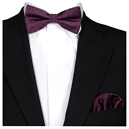 GASSANI 2Tlg Fliegenset, Festliche Lilane Herren-Fliege Silber Gepunktet, Hochzeitsfliege Anzug-Schleife Vor-Gebunden Ein-Stecktuch Vorgefaltet von GASSANI