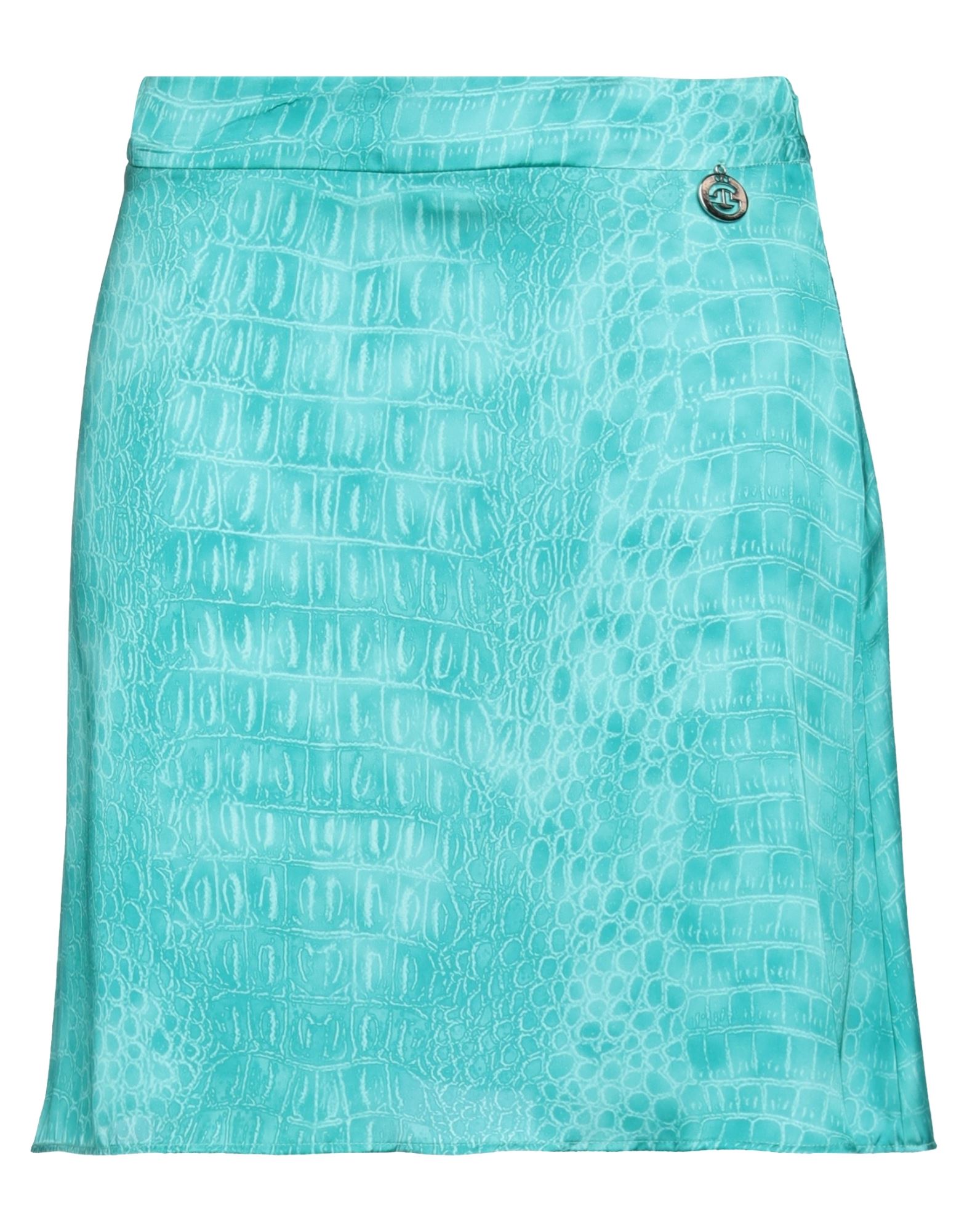 GAëLLE Paris Minirock Damen Grün von GAëLLE Paris