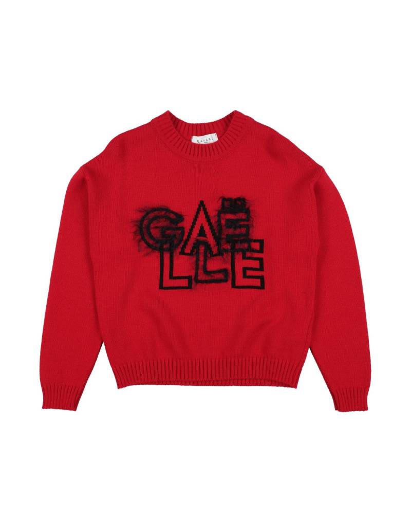 GAëLLE Paris Pullover Kinder Rot von GAëLLE Paris