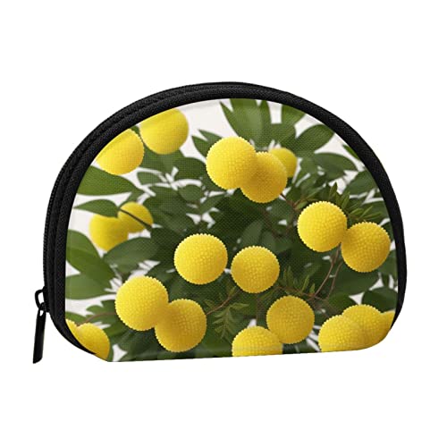 Runde Chrysanthemen Vollformat bedrucktes Polyester tragbare Mini-Aufbewahrungstasche Muschelförmige Geldbörse Kleine Münzgeldbörse Muschel Aufbewahrungstasche, Schwarz , Einheitsgröße von GBCDEDSL