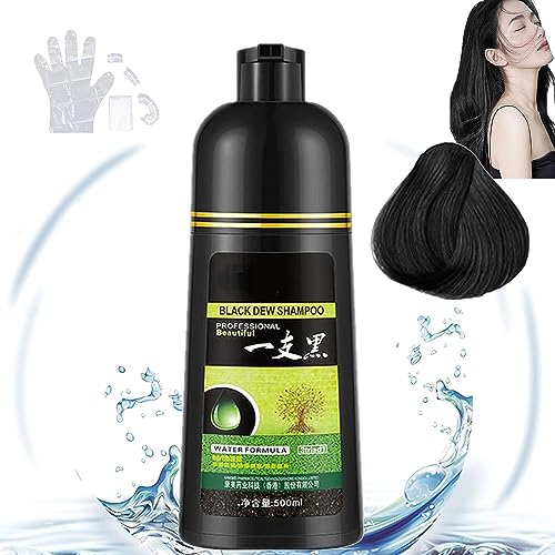 Yaguan Herbal Shampoo, 3 in 1 Natural Black Hair Shampoo, Natural Yaguan Black Dew Shampoo, Instant 500ml Hair Color Shampoo, for Gray Hair Women and Men Instant Result von GBYUFG