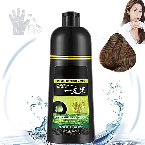 Yaguan Herbal Shampoo, 3 in 1 Natural Black Hair Shampoo, Natural Yaguan Black Dew Shampoo, Instant 500ml Hair Color Shampoo, for Gray Hair Women and Men Instant Result von GBYUFG