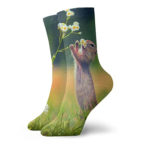 GCDD Kurze Socken für Herren und Damen, 30 cm, niedliches Eichhörnchen, Schnüffelblumen, klassische Sportsocken, Retro-Strümpfe für Laufen, Fitness, Geschenke, Weiß, Einheitsgröße von GCDD