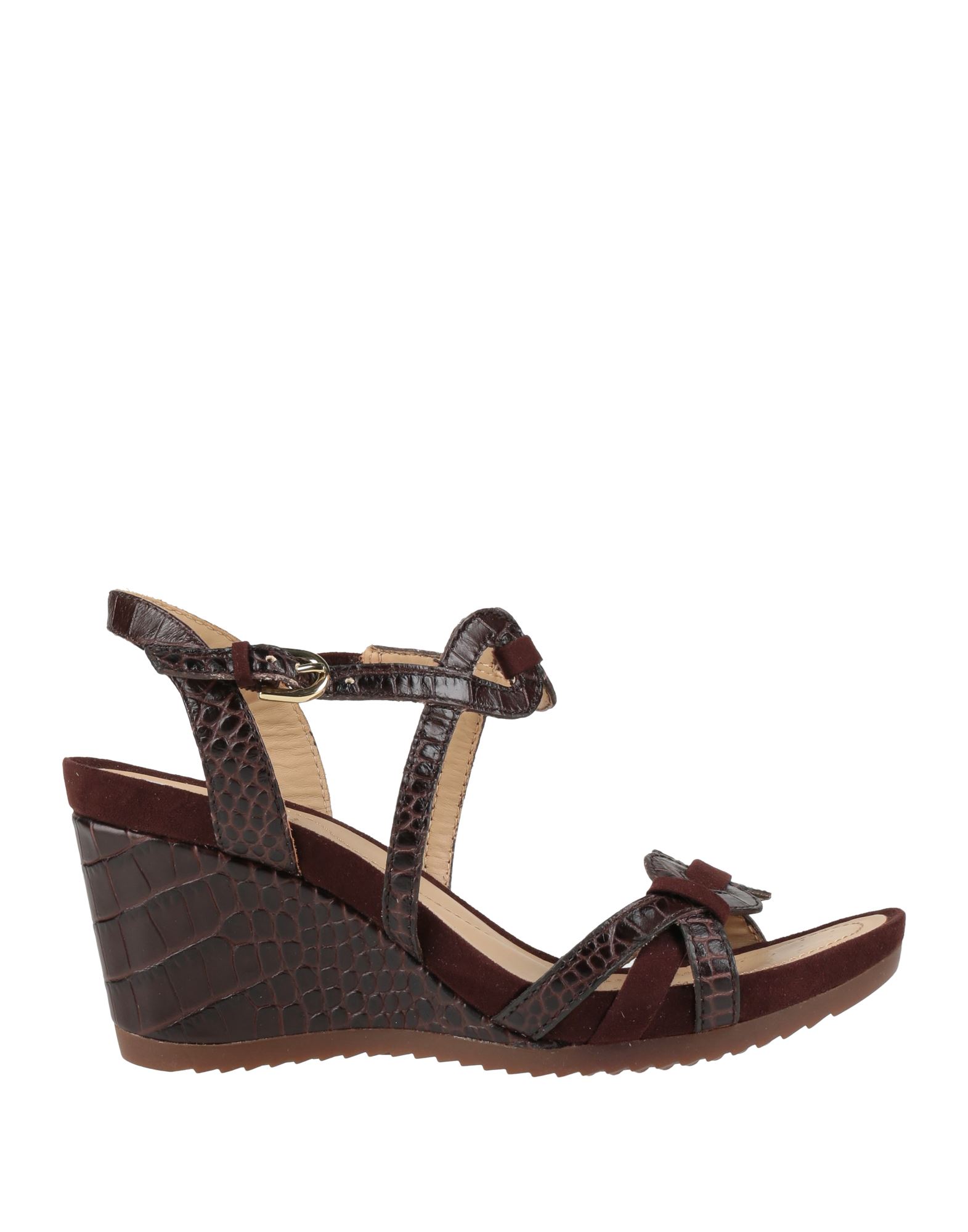 GEOX Sandale Damen Dunkelbraun von GEOX