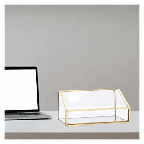 GFHTRELY Visitenkartenhalter Schreibtisch Regal Box Aufbewahrung Display Ständer Acryl Transparent Desktop Visitenkartenhalter Visitenkartenbox (A) von GFHTRELY