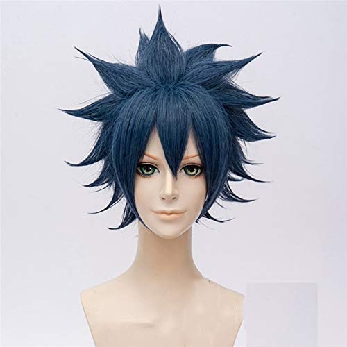 2 Farben Aotu World Ray Cosplay Perücke Mann Anime Styled Kurzes Kunsthaar Perucas Halloween Kostüm Party Spiel Perücken ALS-LS LS 2 von GGJKB