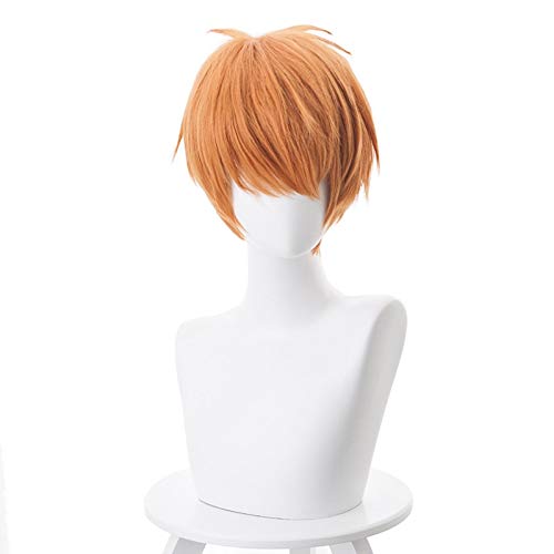 Anime Obstkorb Soma Souma Kyo Kurze Perücke Cosplay Kostüm Hitzebeständiges Kunsthaar Männer Party Cosplay Perücken von GGOII