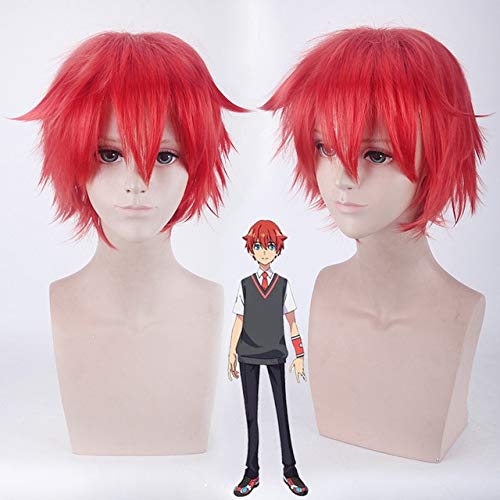 Anime Ssss.Gridman Takarada Rikka Cosplay Perücke Halloween Party Synthetisches Gesichtshaar Denkou Choujin Gridman Cosplay Kostüme Perücken One Size Yuuta von GGOII