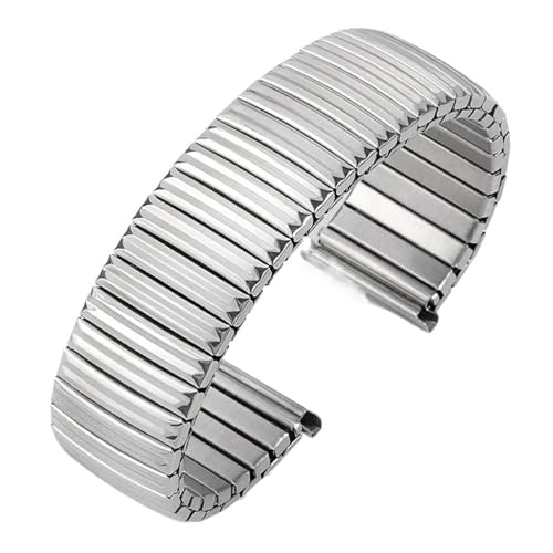 GGYTMQL Edelstahl -Gummiband 12mm 14 mm 16 mm 18 mm 20mm 20 mm Metallstreckexpansions -Uhren -Frauen Frauen Universal Armband Armband von GGYTMQL