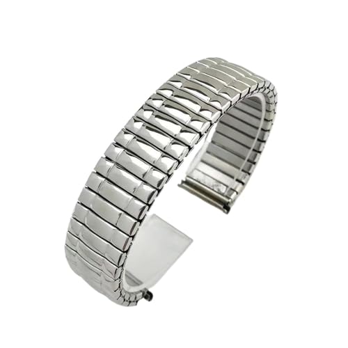 GGYTMQL Edelstahl elastischer Stretchuhrenband Retraktierbares Pullgurt, Edelstahl -Feder -Uhren -Band für Männer und Frauen von GGYTMQL