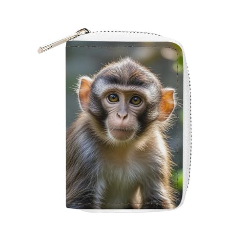GHBNK Kreditkartenetui mit großem Äugigem Affe, Kreditkartenetui für Damen, Visitenkarten-Organizer, Kartenhalter, Geldbörse, kleine Münzbörse, weiches PU-Kartenetui mit Reißverschluss, Stil, 16 x von GHBNK